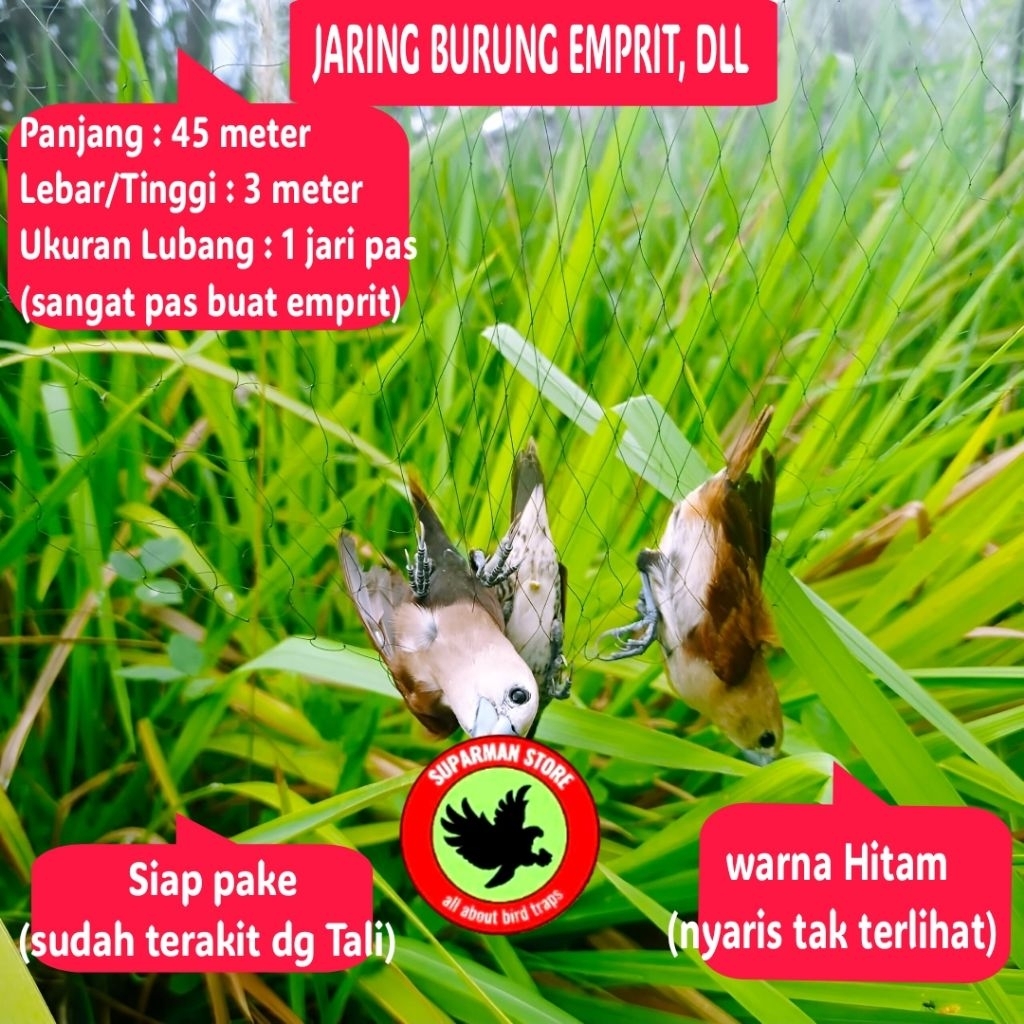 JARING BURUNG EMPRITp.45 JARING BURUNG PIPIT JALA PIKAT EMPRIT JARING BURUNG BONDOL OTO JARING PERAN