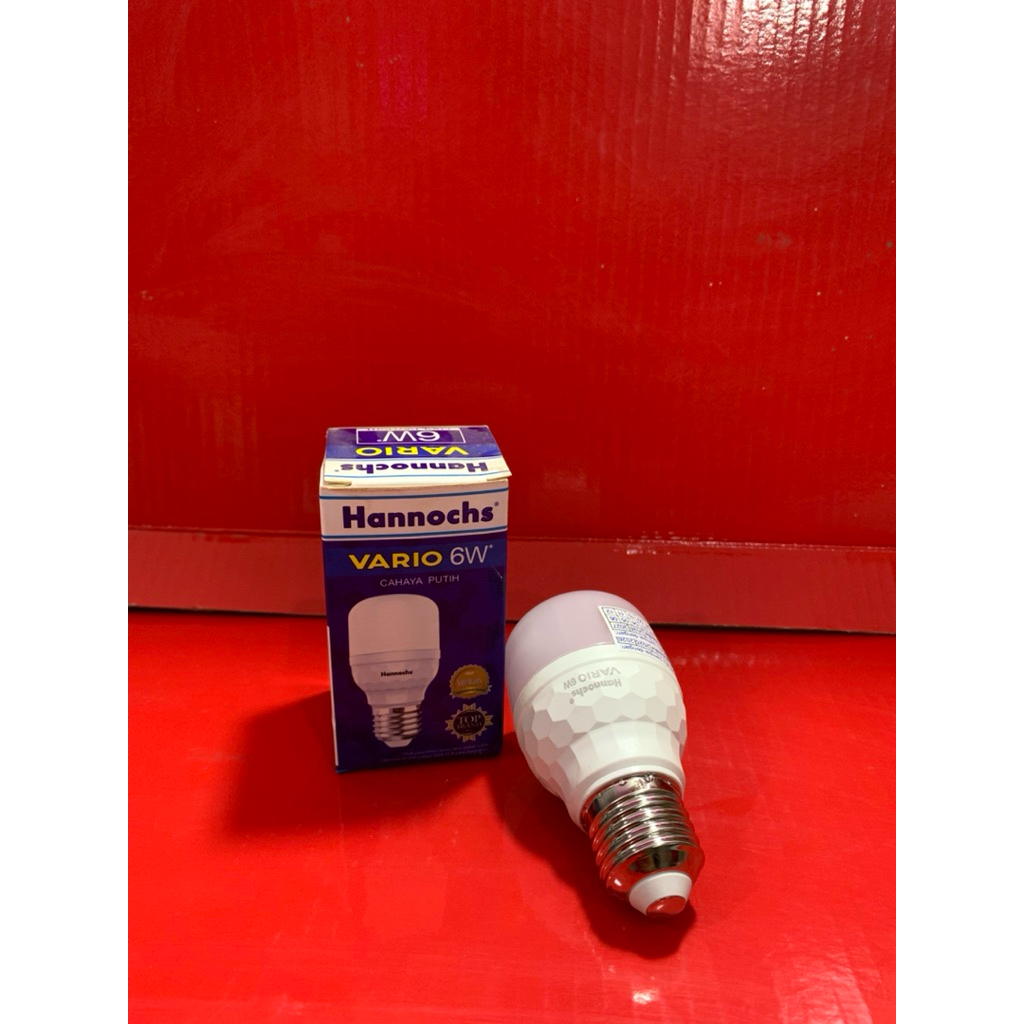 HANNOCHS VARIO 6W