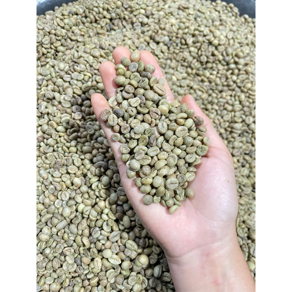 Greenbean Fine Robusta Lampung Grade 1