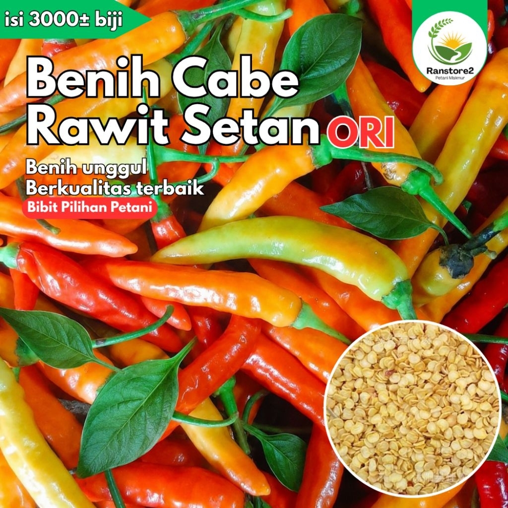 BENIH CABE RAWIT SETAN ORI ISI 3000± BIJI CABE RAWIT SETAN ORI UNGGUL BIBIT CABE RAWIT SETAN ORI SIA