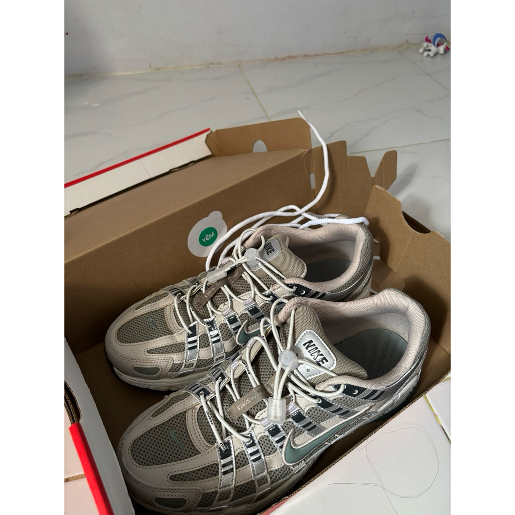 Nike P-6000