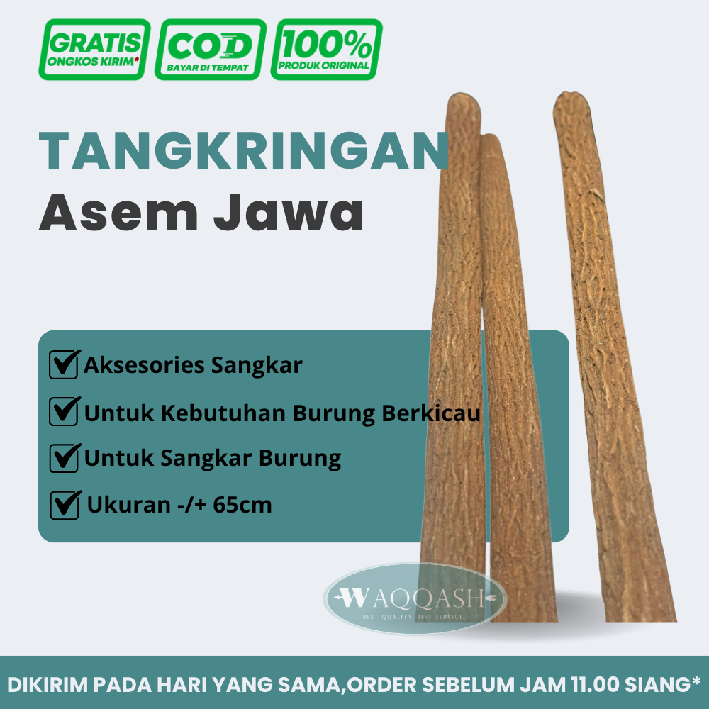 Tangkringan Asem Jawa Super Pangkringan Kayu Asem Jawa Super Grade A Sangkar Burung