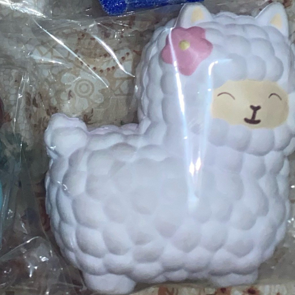 Alpaca