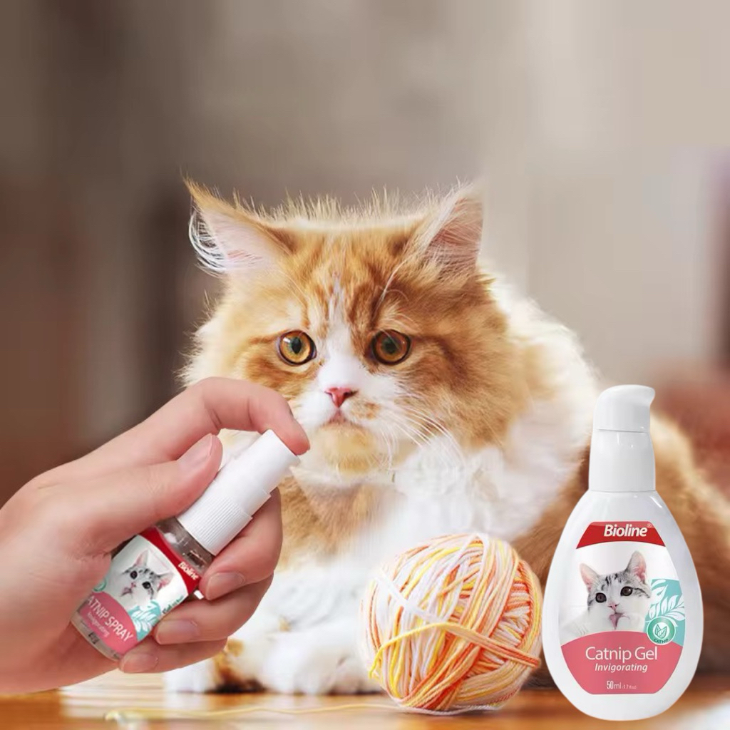 Catnip Kucing Bioline  - Catnip Kucing - Catnip