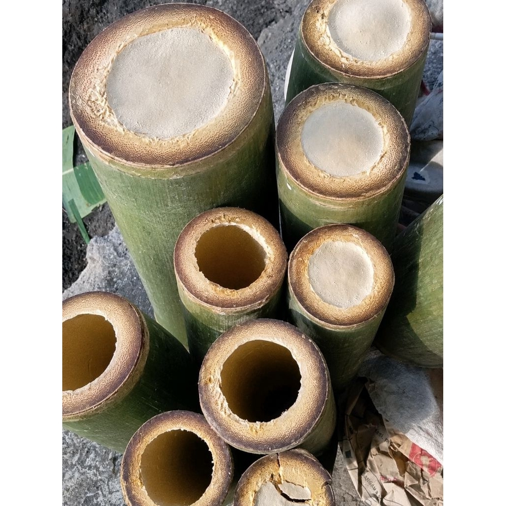 bambu bulat gelondongan 1 ruas  panjang 60cm bambu petung bahan layangan