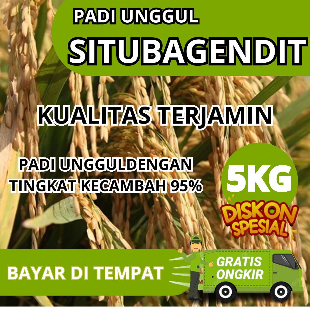 Benih Padi Situ Bagendit Jumbo - 5kg
