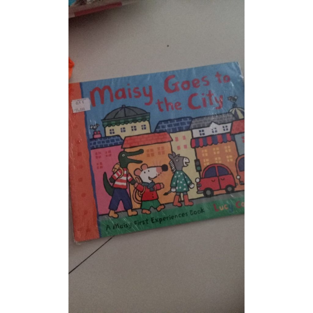 maisy goes to the city book