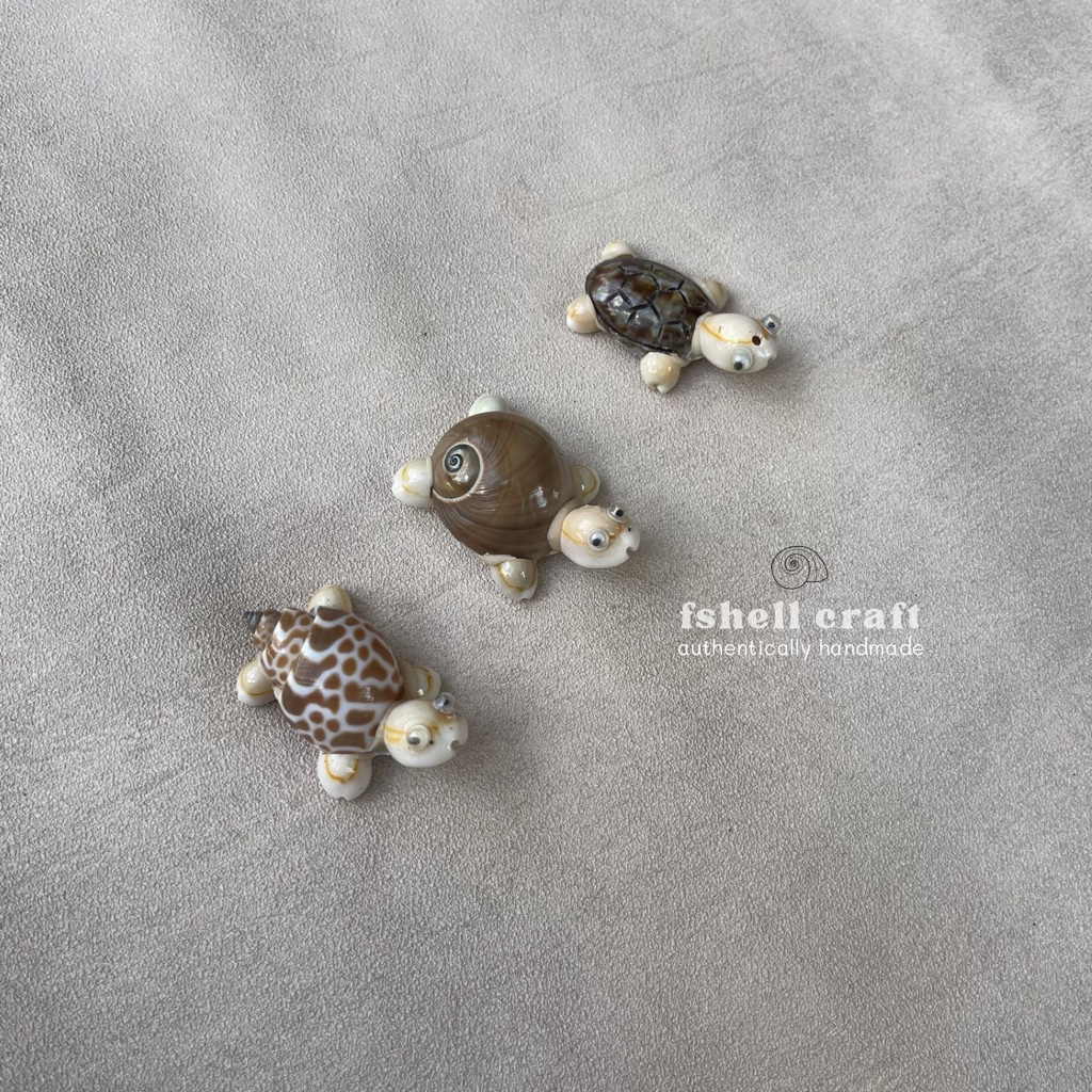 KERAJINAN KERANG/DIY/HIASAN KECIL