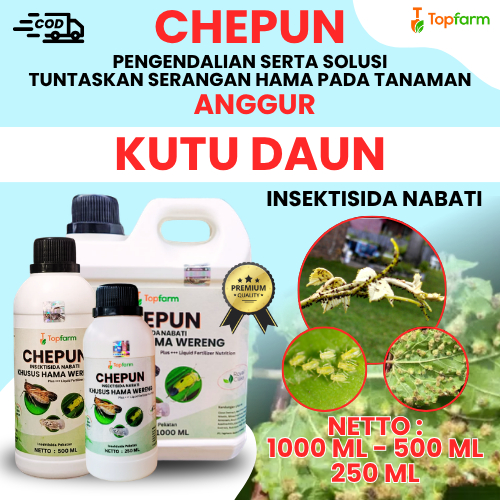 Obat Hama Tanaman Anggur / Insektisida Pembasmi Kutu Daun Anggur / Obat Pembasmi & Pengusir Kutu Put