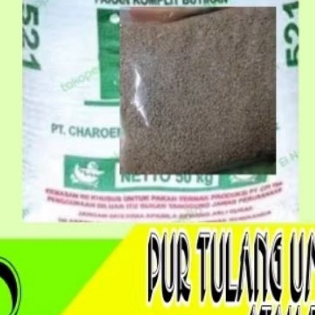 10 kilo 521 ayam makanan bercalcium tinggi protein tinggi pakan ayam telur tarung mulai doc cpp