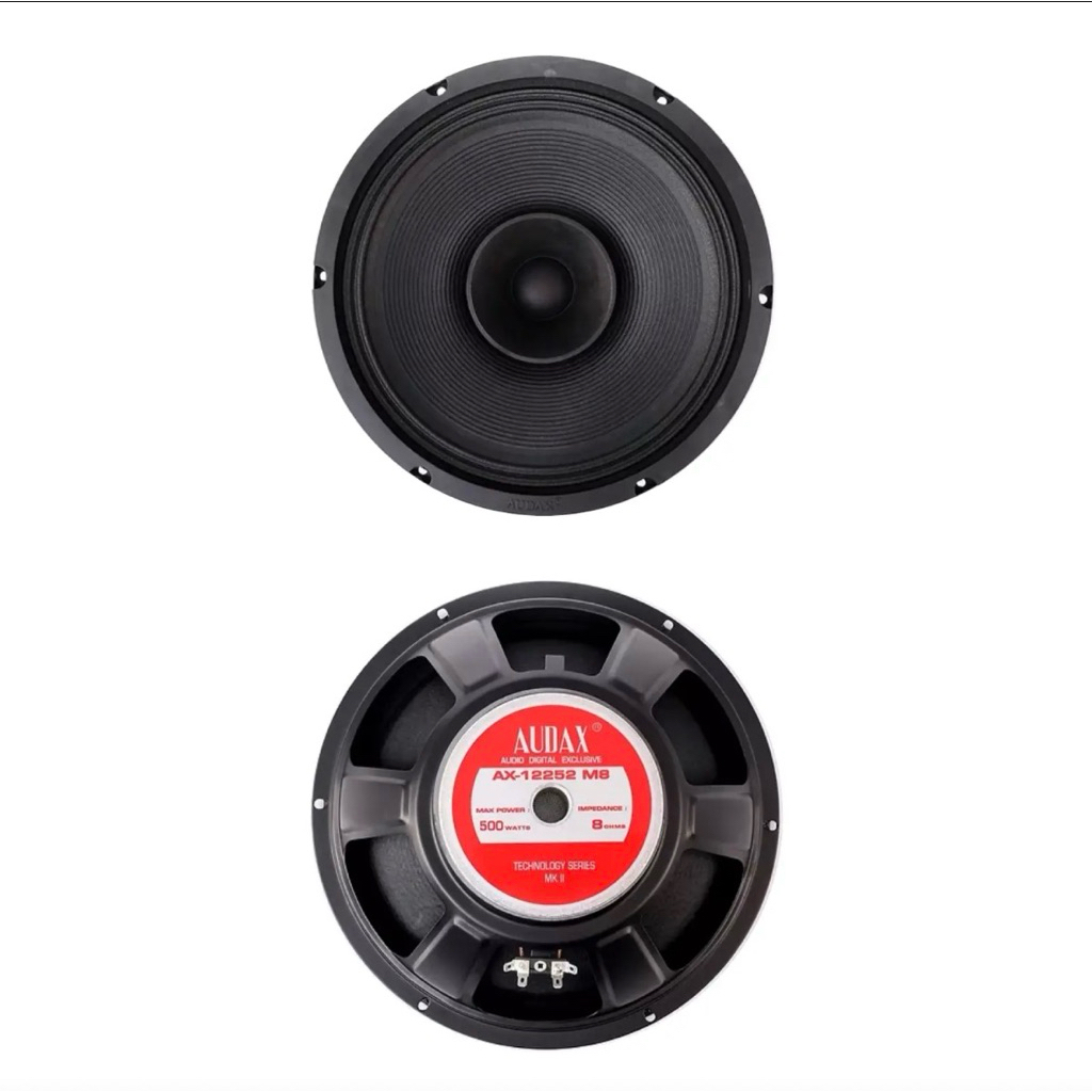 Speaker 12 inch audax AX 12252 m8 fullrange / AX12252M8