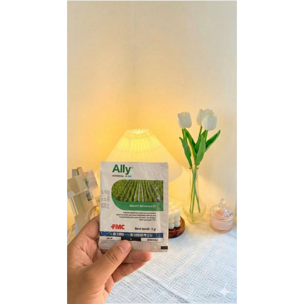 Herbisida Ally 20 WG