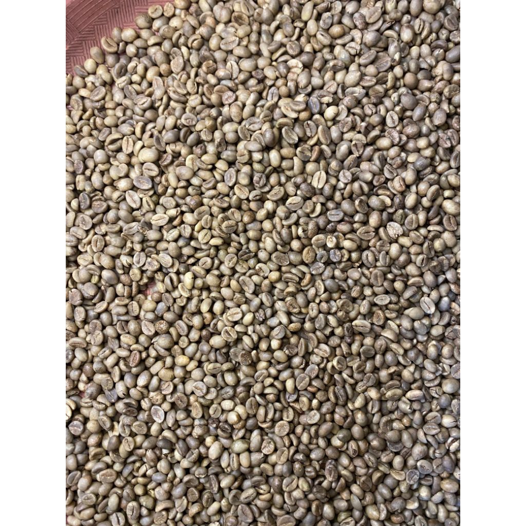 Biji Kopi Hijau Greenbean  Robusta Asalan Dampit1 kg - Proses Alami, Kualitas Ekspor, Rasa Asli