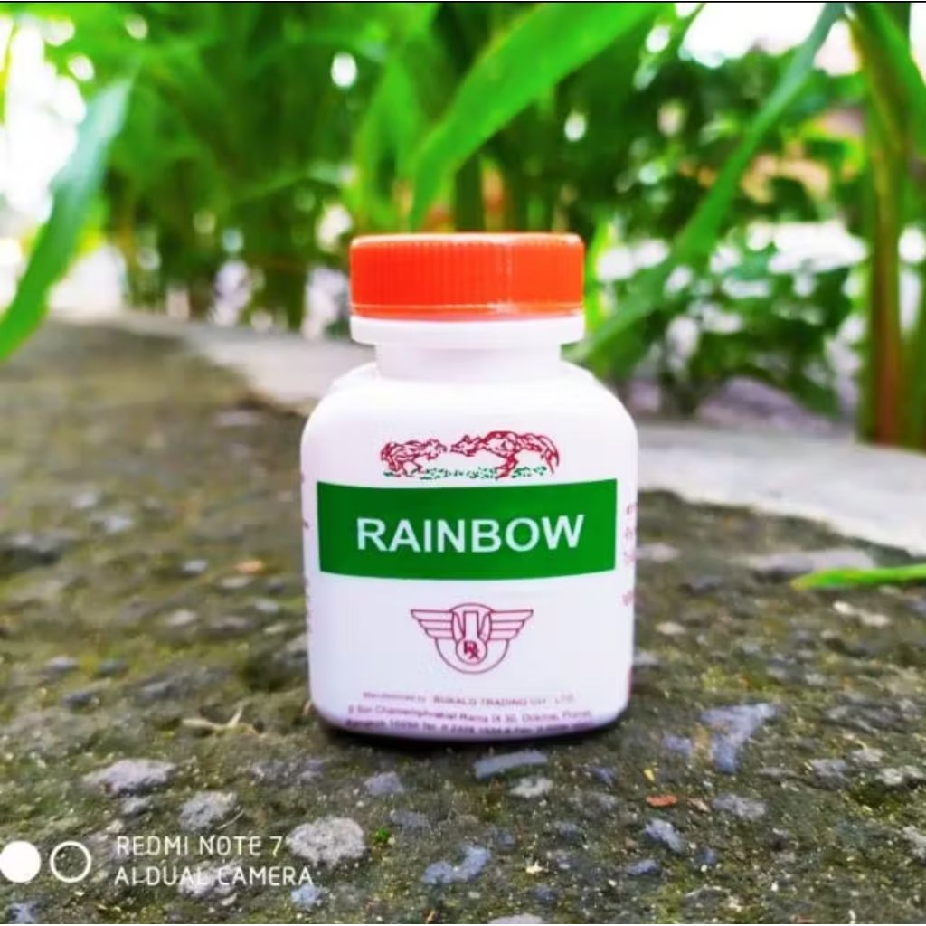 Rainbow Ayam MultiVitamin Ayam Bangkok / Penambah Tenaga Ayam Aduan