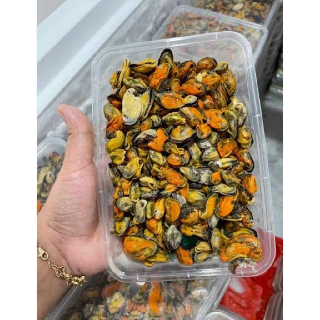 KERANG HIJAU KUPAS, KERANG SEGAR