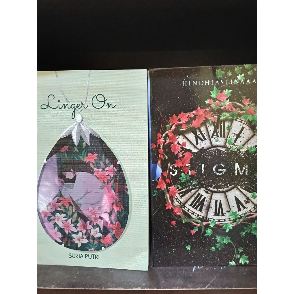 Preloved Novel Bundling Linger On dan Stigma