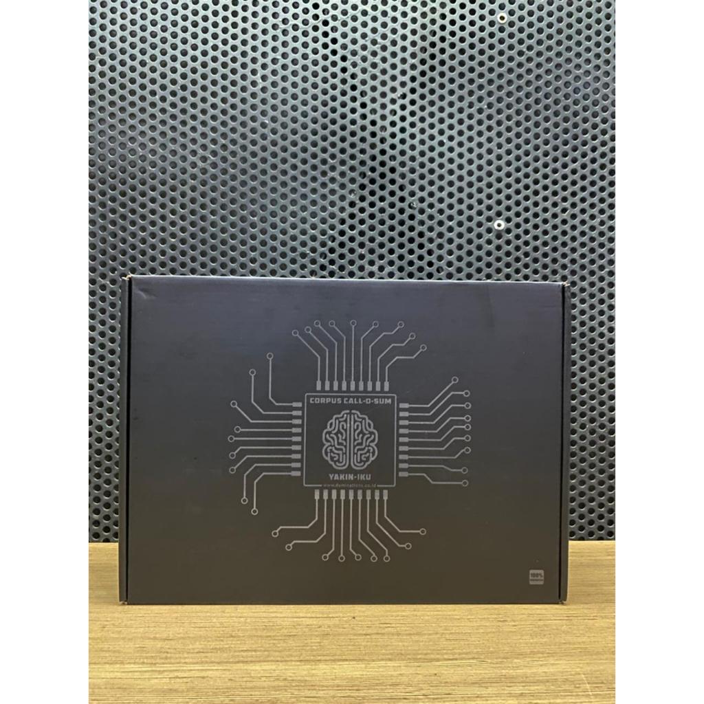 DSP-AMPLIFIER DOMINATIONS  YAKIN-IKU