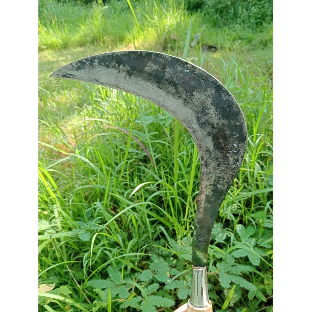 Sabit Asli Wajanan (Baja Isen 2 lapis)