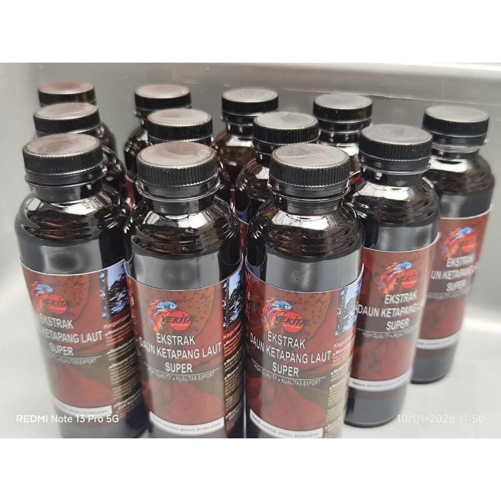 Ekstrak daun ketapang, LAUT, SUPER  extrak daun ketapang, ekstrak ketapang, cairan daun ketapang, ai