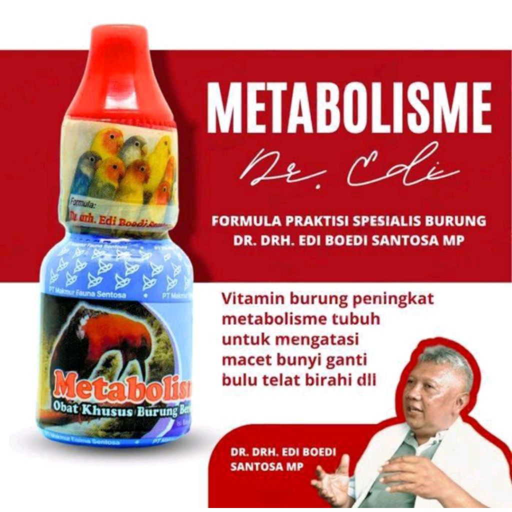 ￼METABOLIS ORIGINAL DR EDI METABOLISME BURUNG PLECI MURAI BATU KENARI KICAU DR EDI