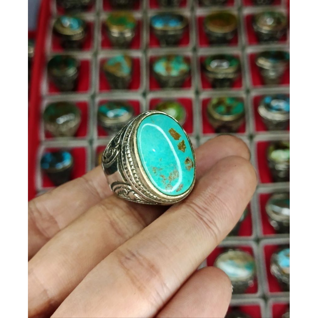 pirus Persia semi polos