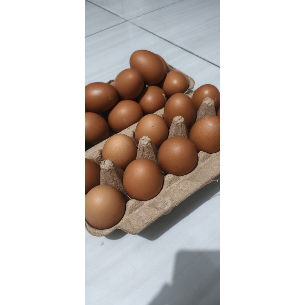 TELUR AYAM NEGERI-1 KG