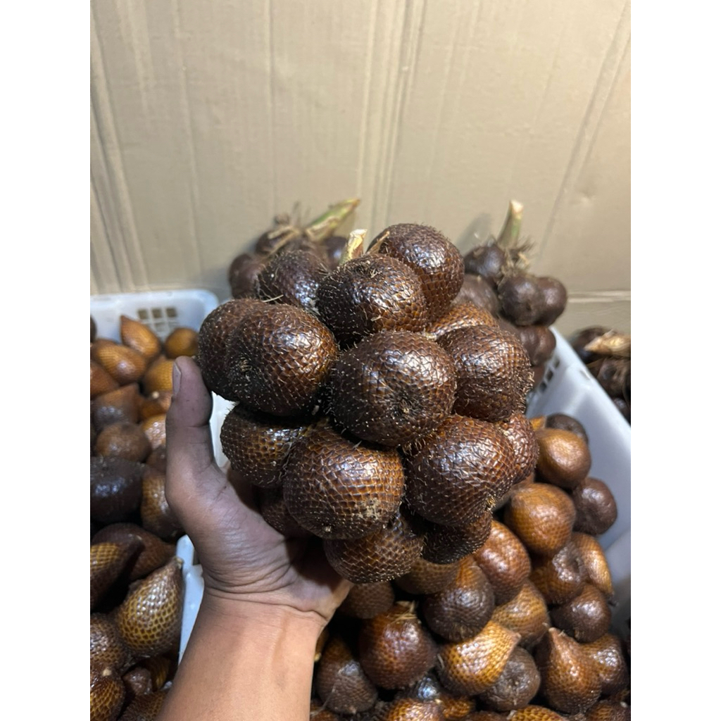 Salak Pondoh Buah Salak Grade A Fresh & Manis Asli Banjarnegara
