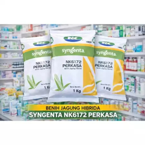 NK6172-PERKASA-BENIH-JAGUNG-HIBRIDA-SUPER~1KG