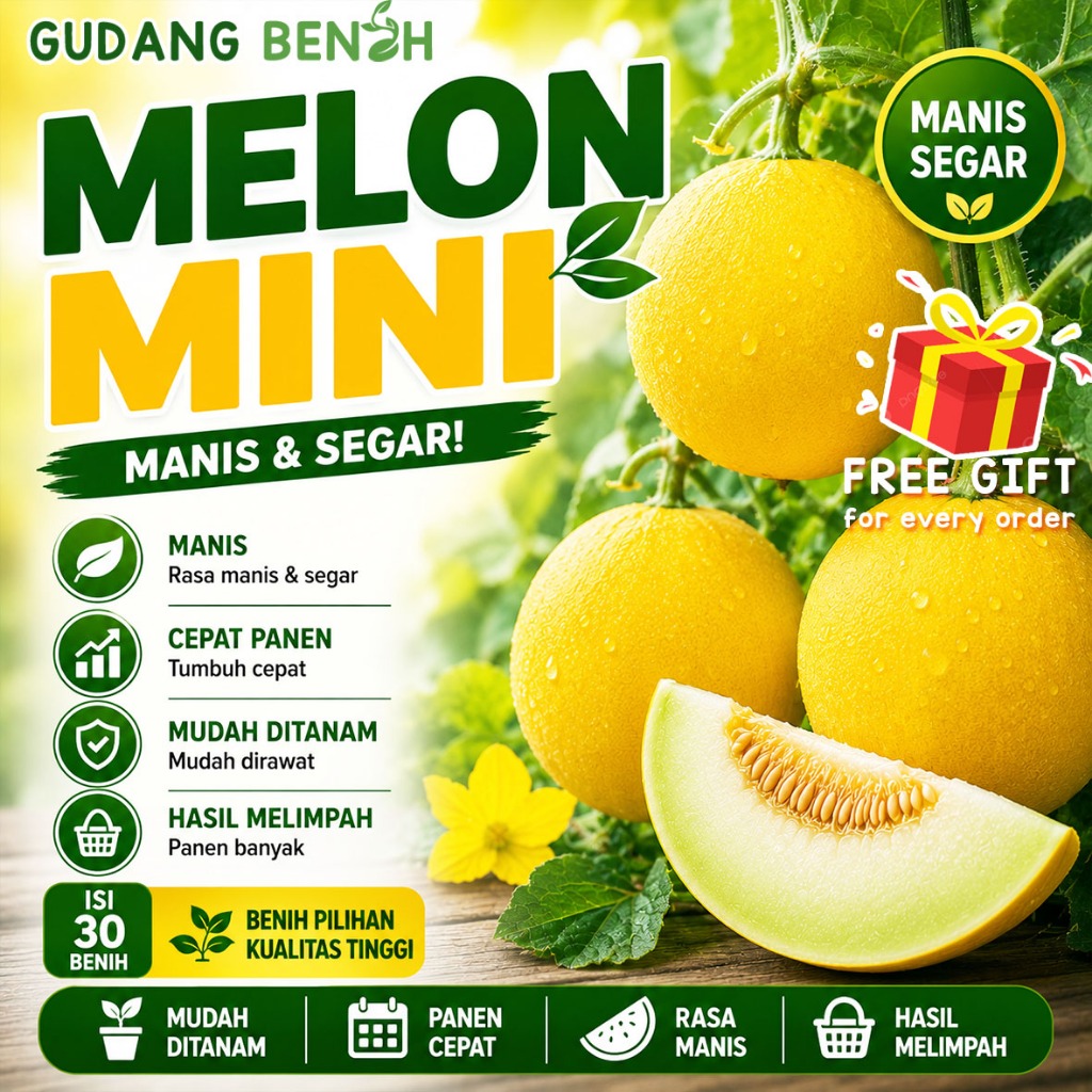 Bibit Melon Mini / Benih Semangka Mini / Benih Buah Unggul / Bibit Buah Semangka / Bibit isi 30