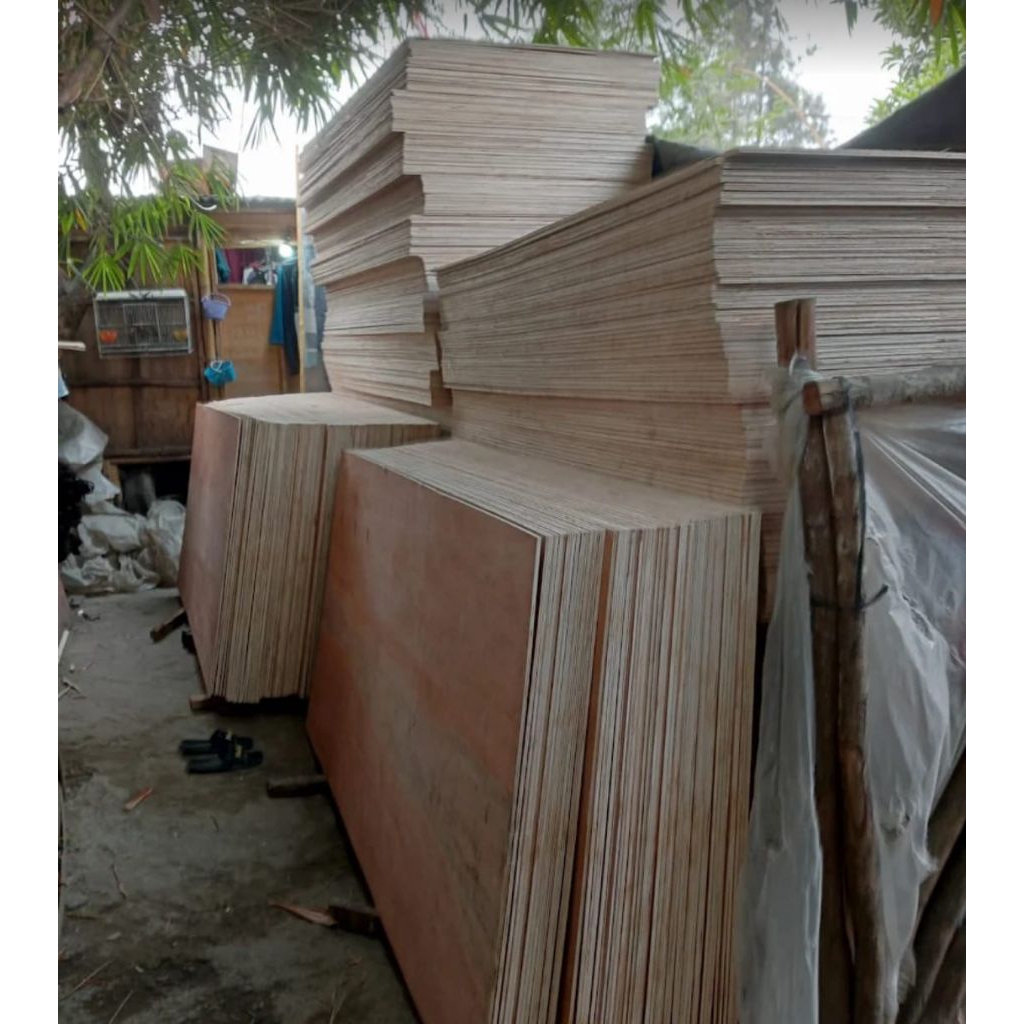 triplek 12mm 122×244
