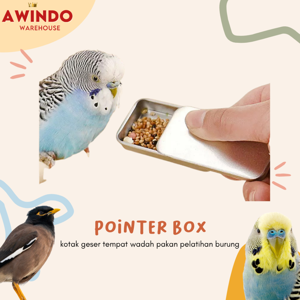 AWINDO POINTER BOX - Kotak Penyimpanan Makanan Snack Burung Pelatihan Reward Burung