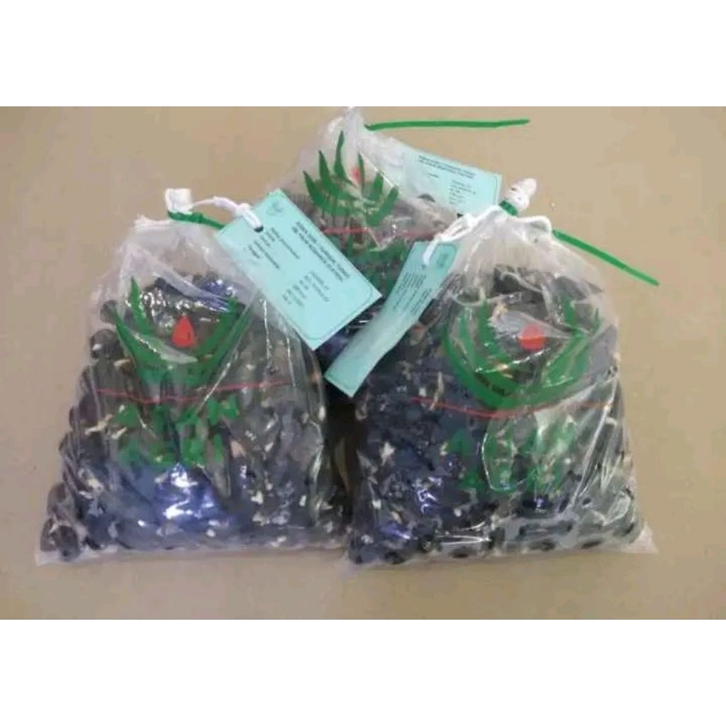 Bibit Kelapa Sawit PPKS DxP Marihat Unggul, Isi 150-250 Butir, Kualitas Premium