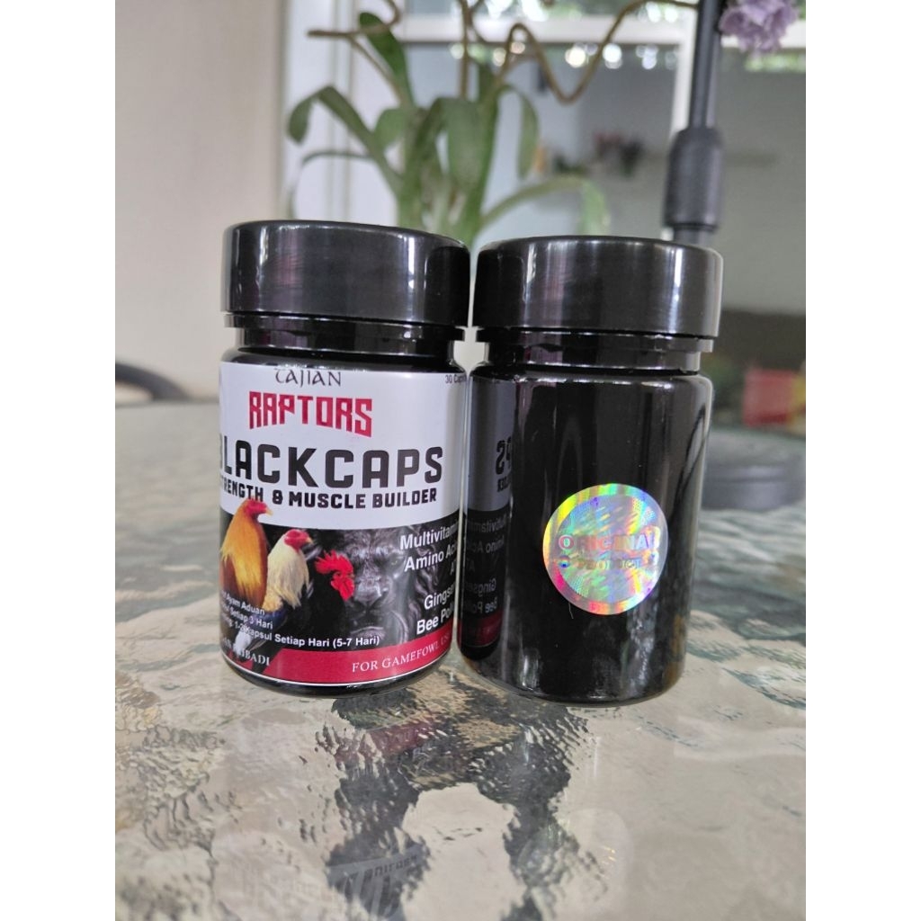 Ayam Taji Laga Aduan pisau Black Caps Multivitamin ATP