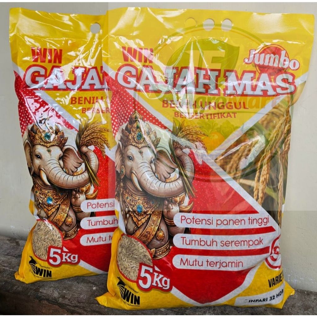 BENIH PADI INPARI 32 HDB - GAJAH MAS - 5KG