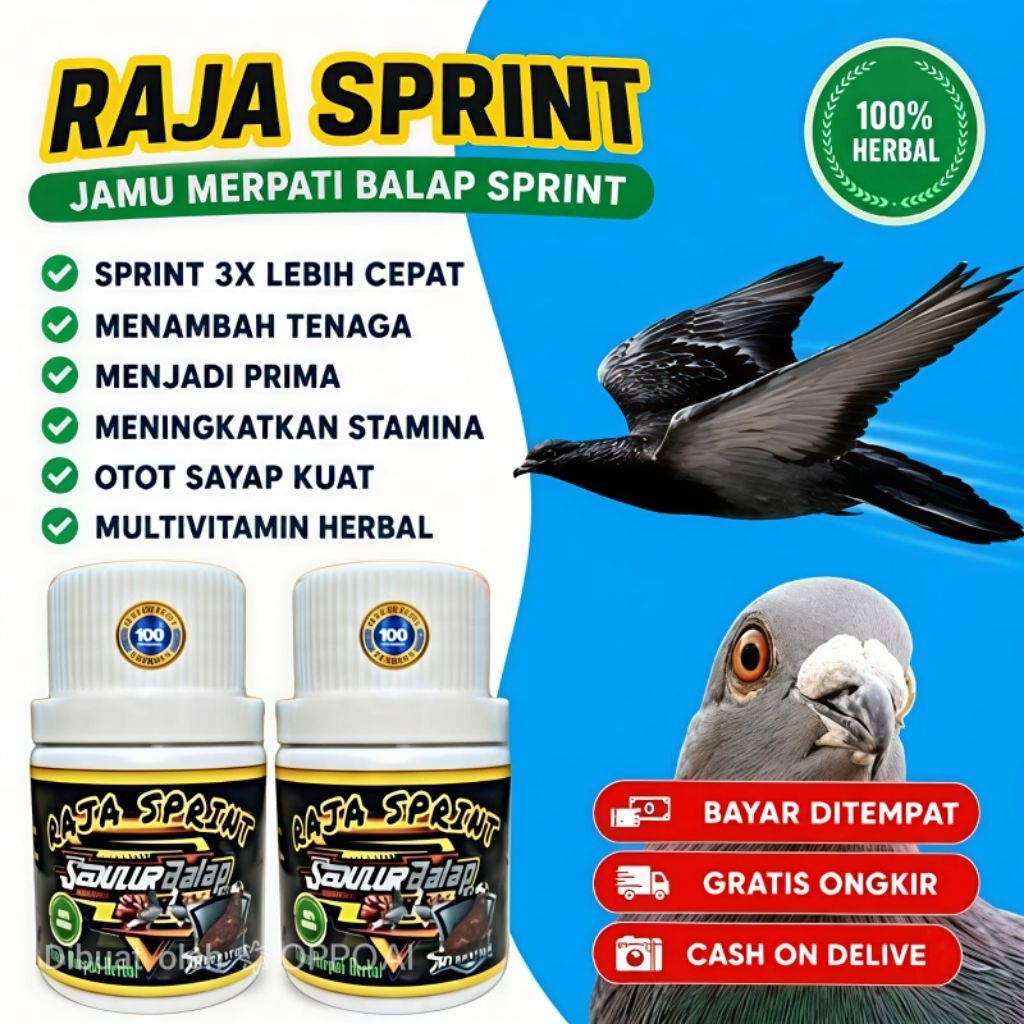 JAMU MERPATI BALAP RAJA SPRINT 100 pil hitam doping merpati balap jamu liur walet extra power speed 