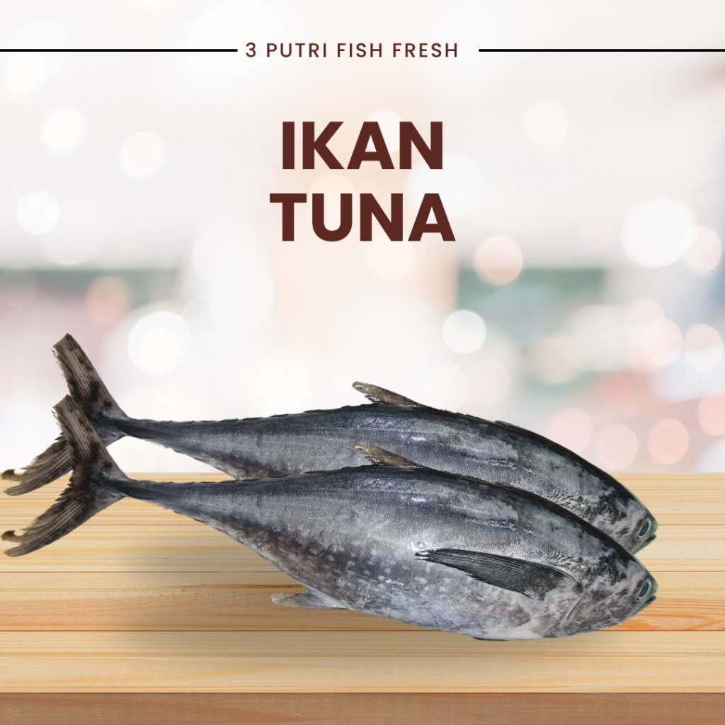 ikan tuna segar