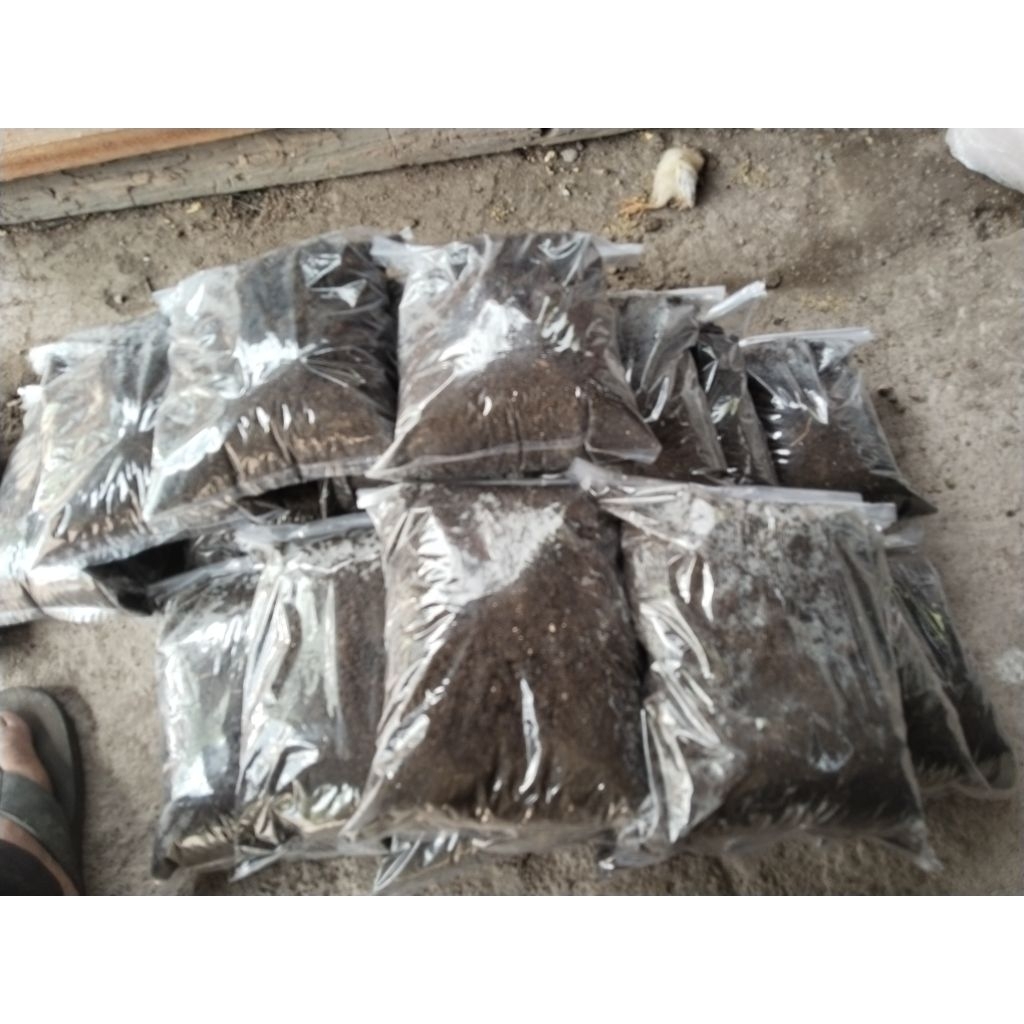 kohe sapi fermentasi siap pakai