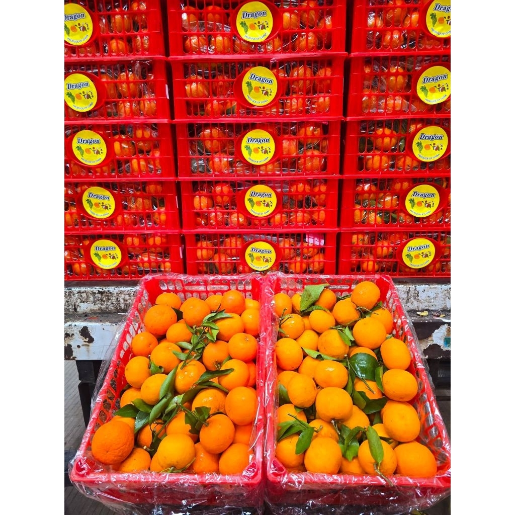 Baby Wogam Dragon 1 Krat 6kg | Jeruk Mandarin Mini Import Manis - Buah Tanah Tinggi`