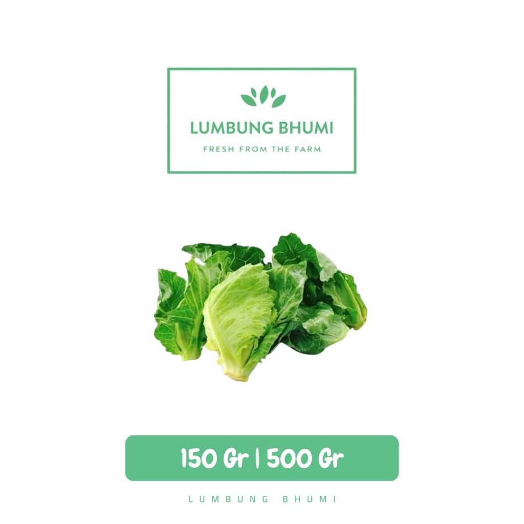 Cuciwis Sayur - Lumbung Bhumi