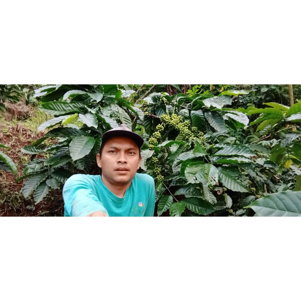 Entres Kopi