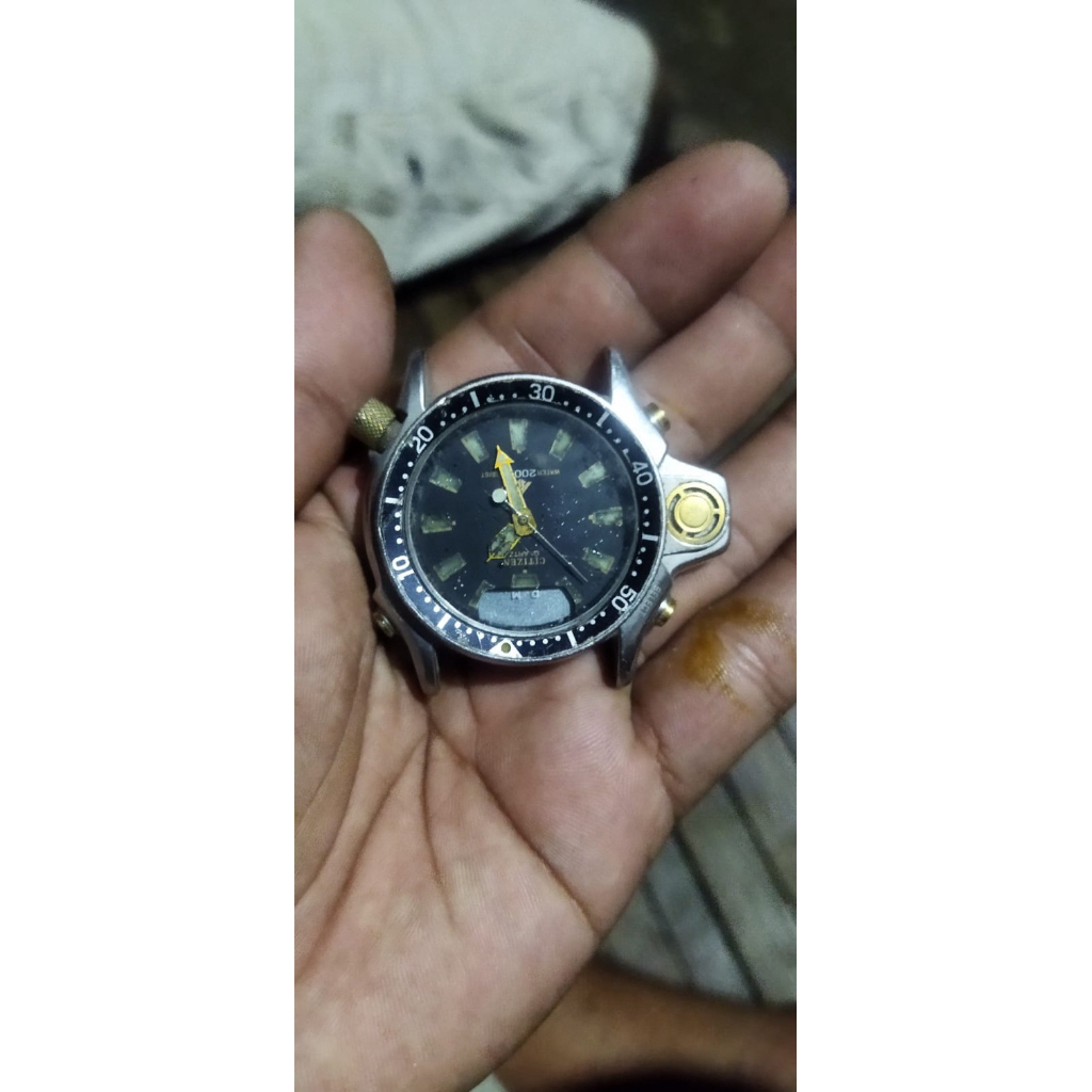 Citizen Promaster Aqualand