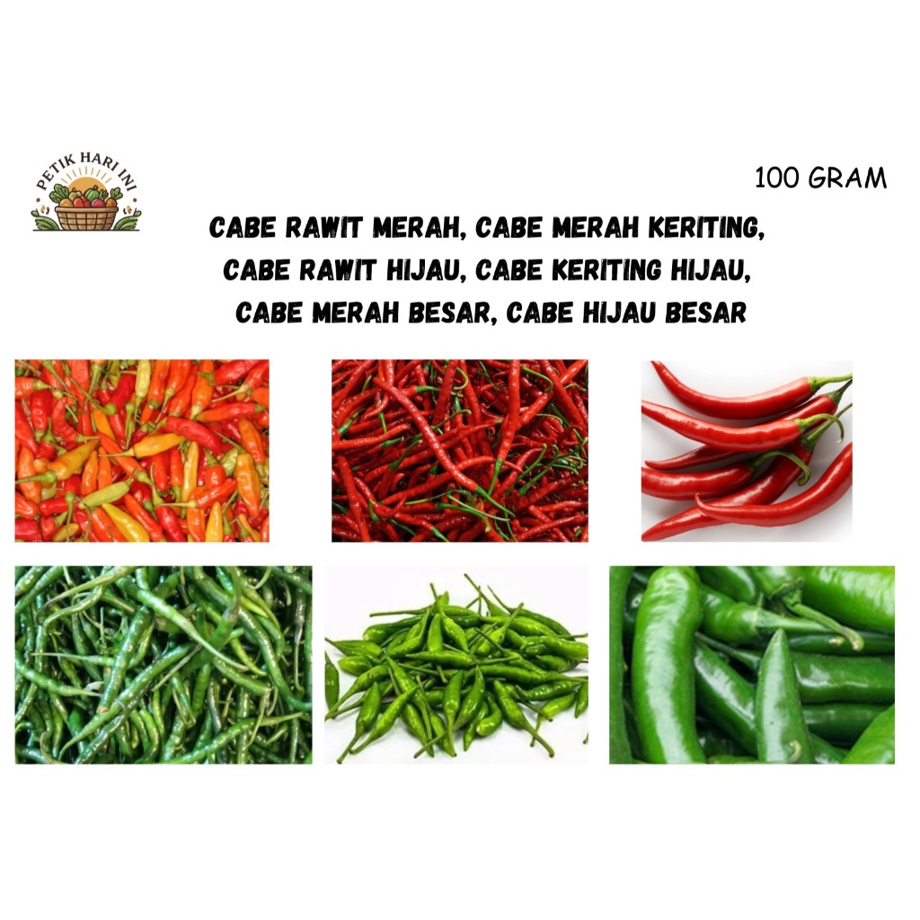 Cabai Rawit / Cabai Keriting Merah / Cabai Keriting Hijau / Cabai Merah Besar / Cabe