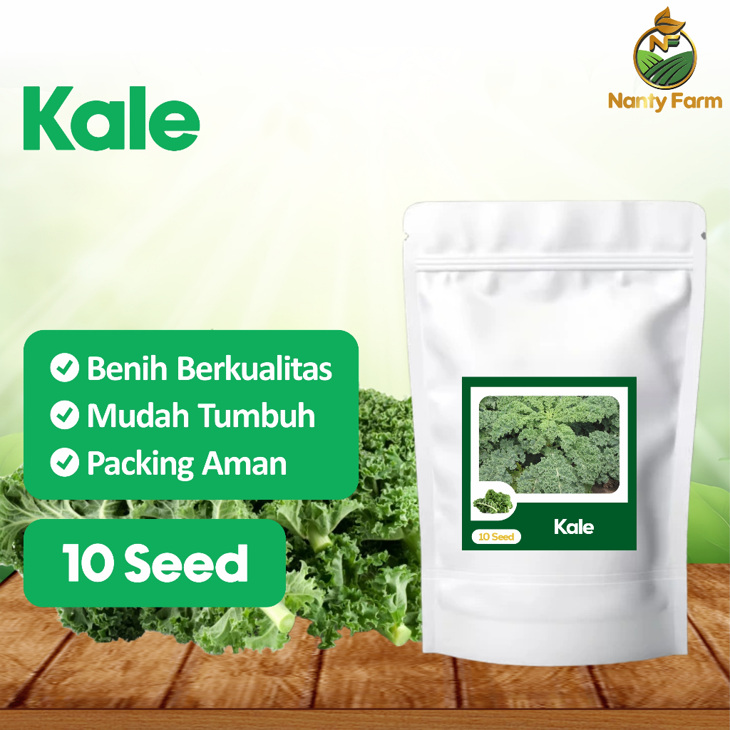 10 Biji Benih Kale Sayuran Daun Benih Sayur Kale