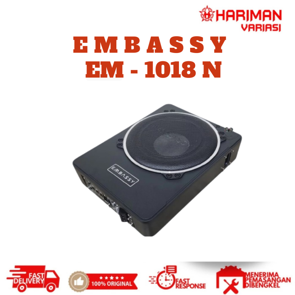 Embassy 10" Subwoofer Active Subwoofer