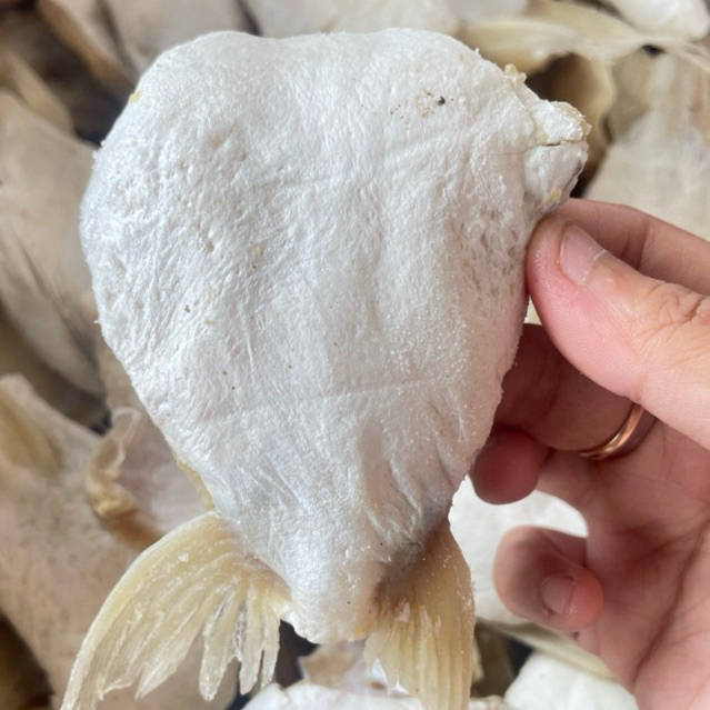 Ikan Asin Patin Premium | Ikan Asin Patin Berkualitas | Ikan Asin Patin Premium Termurah
