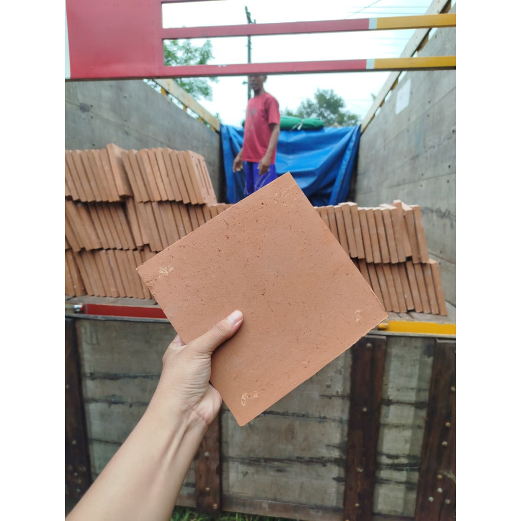 UBIN TERAKOTA KLASIK