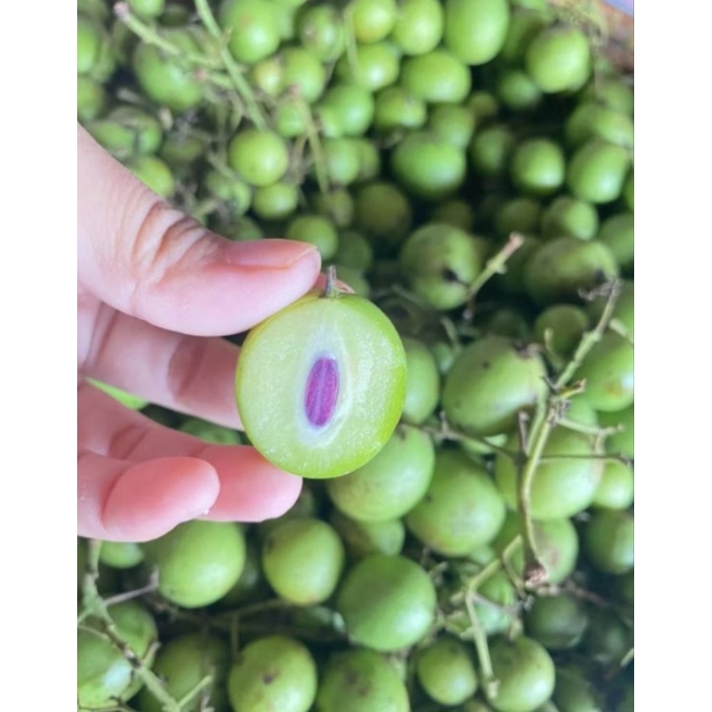 Buah Gandaria / Jatake / Ramania 1000gr