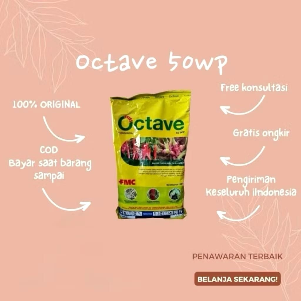 Fungisida Octave 50 WP 250 gram