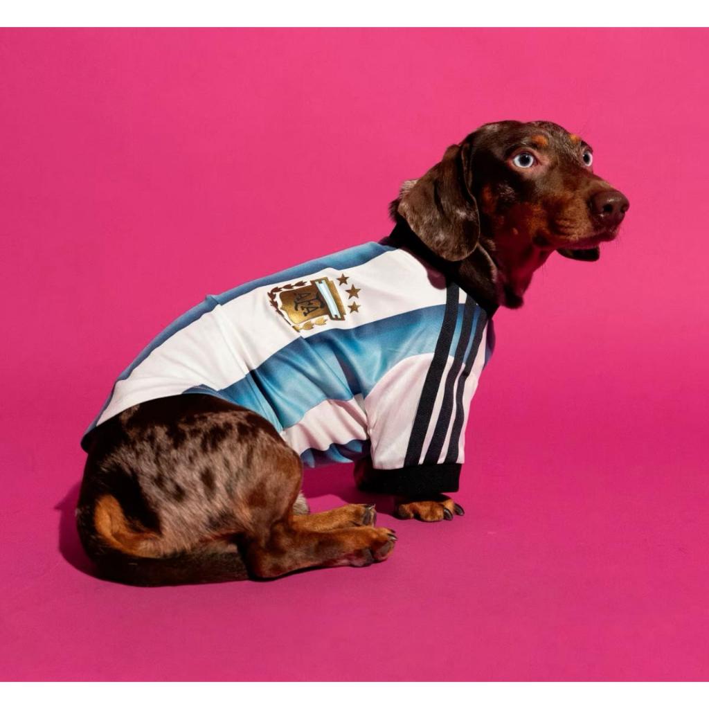 JERSEY ARGENTINA /PET CLOTHES ADIDS / KOSTUM JERSEY ORIGINAL 100%