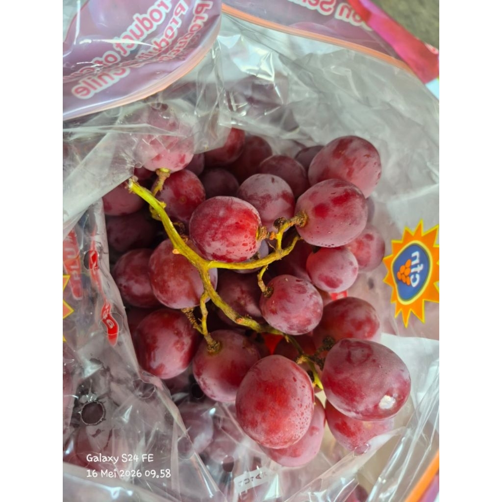 Anggur Red Globe Chili